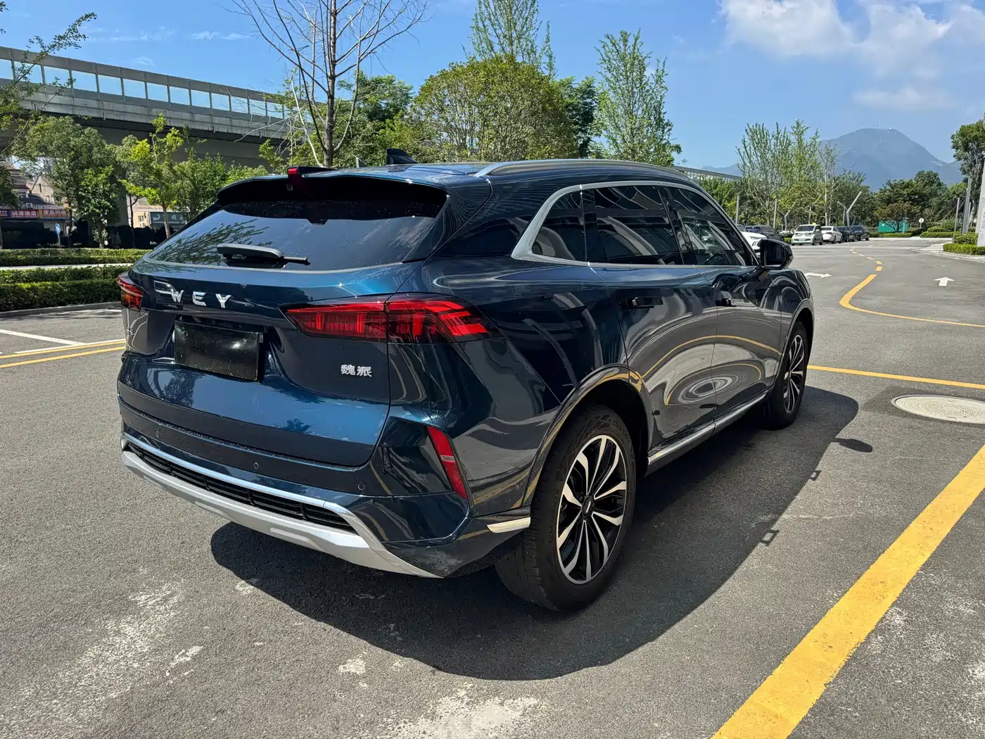 WEY Mocha 2021 2021 2.0T 4WD Premium Edition