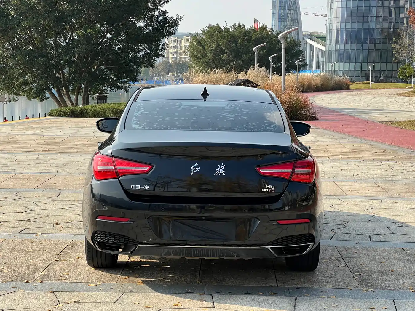 Hongqi H5 2019 30TD Style Edition фото 5