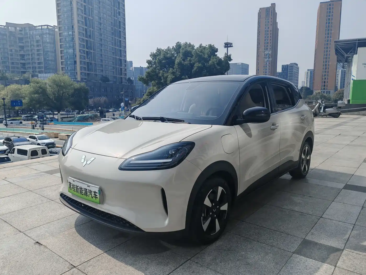 Wuling Motors Wuling Binguo PLUS 2025 2024 Model 330km 5-Seater