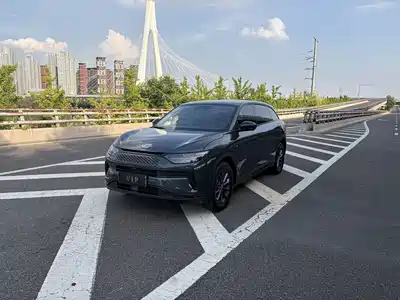 Leapmotor C11