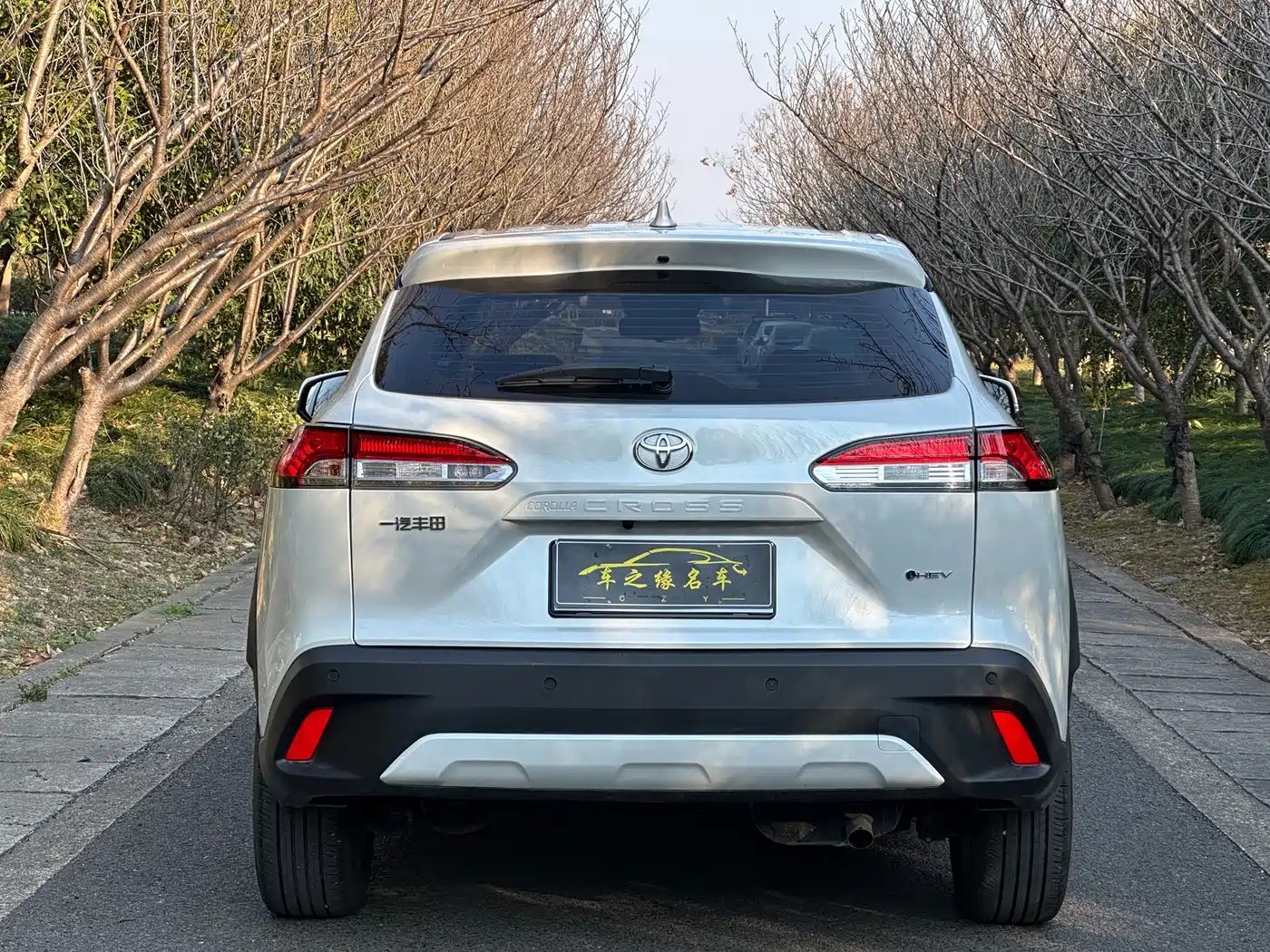 Toyota Corolla Cross 2024 2.0L Smart Hybrid Dual Engine Pioneer Edition фото 16