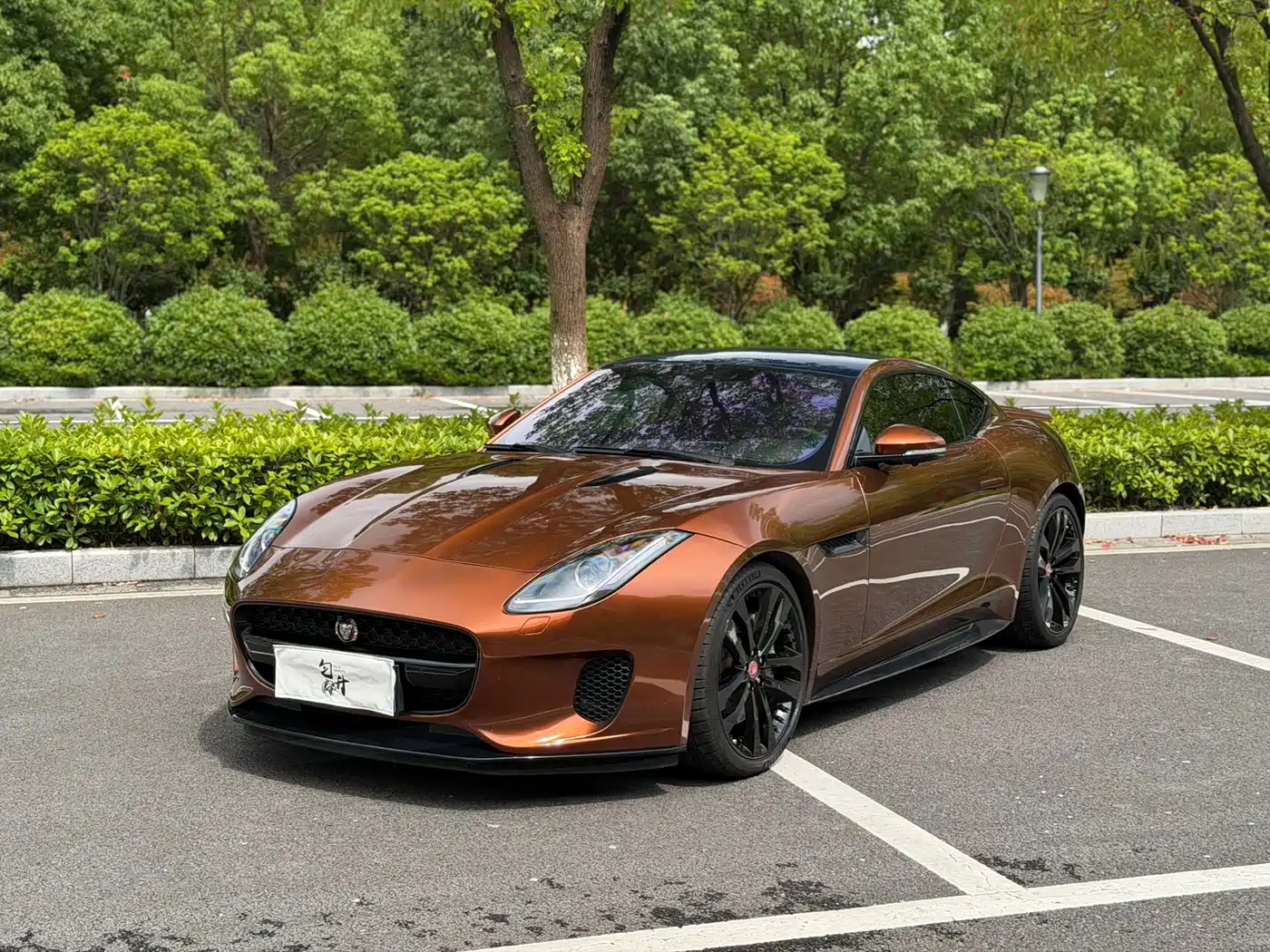 Jaguar F-TYPE 2019 2019 2.0T Coupe