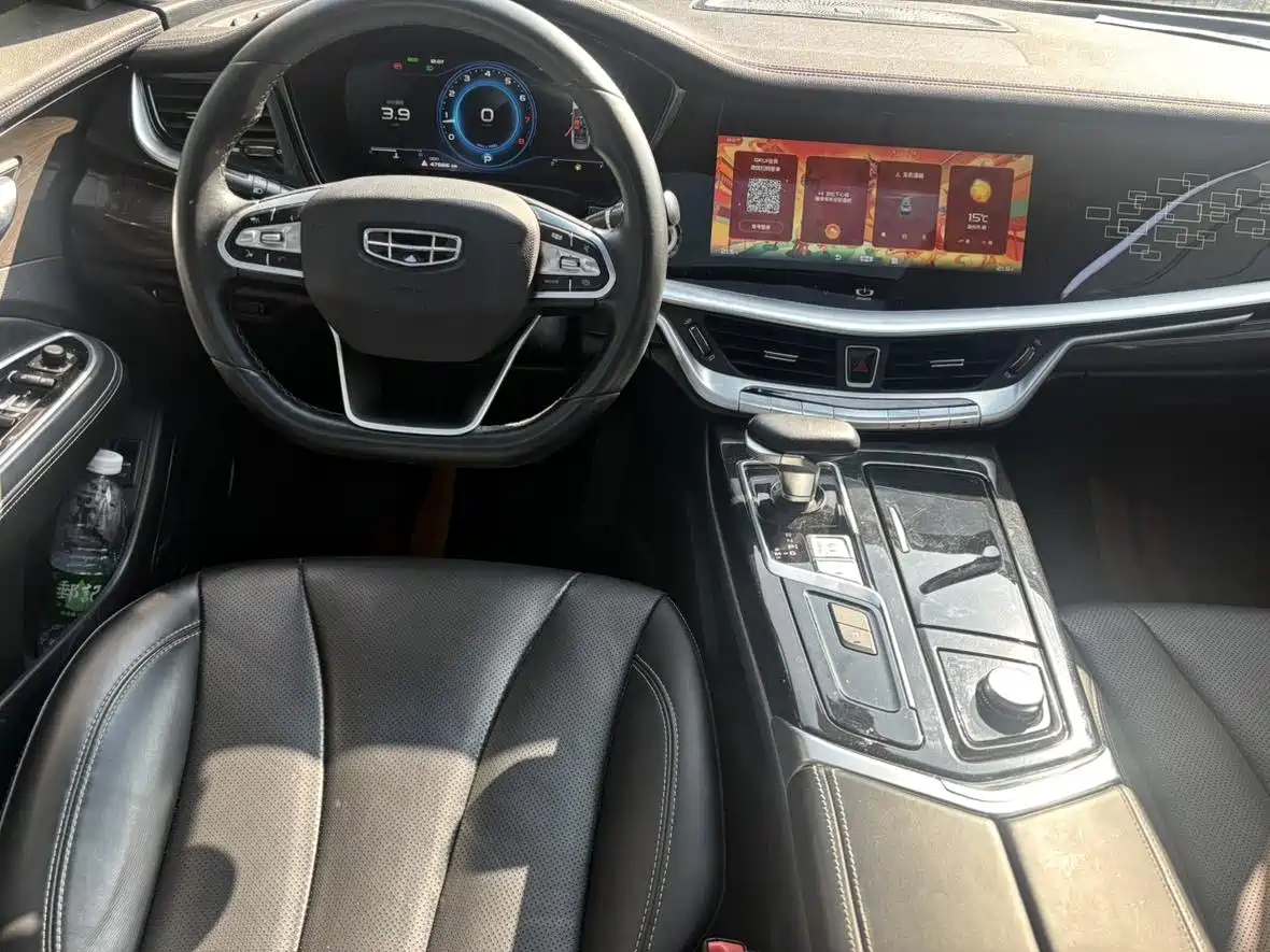 Фото 7 - Geely Borui