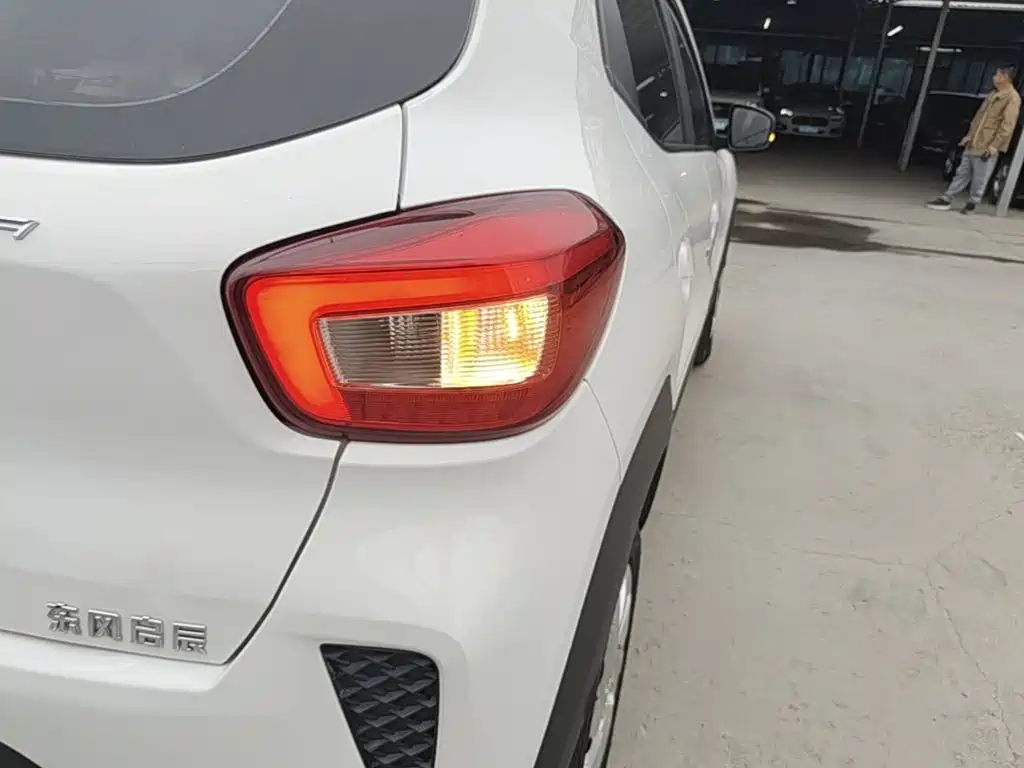 Venucia e30 2022 2021 Elite Edition