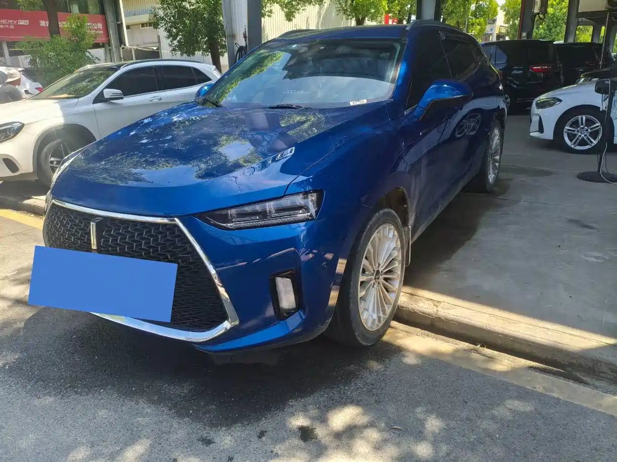 WEY P8 2018 2018 2.0T Flagship Model