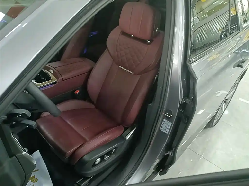 Hongqi E-HS9 2022 660km Qi Chang Edition (6-seater) фото 15