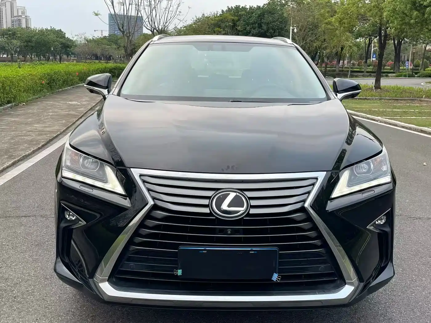 Lexus RX 2016 300 2WD Comfort Edition China V фото 2