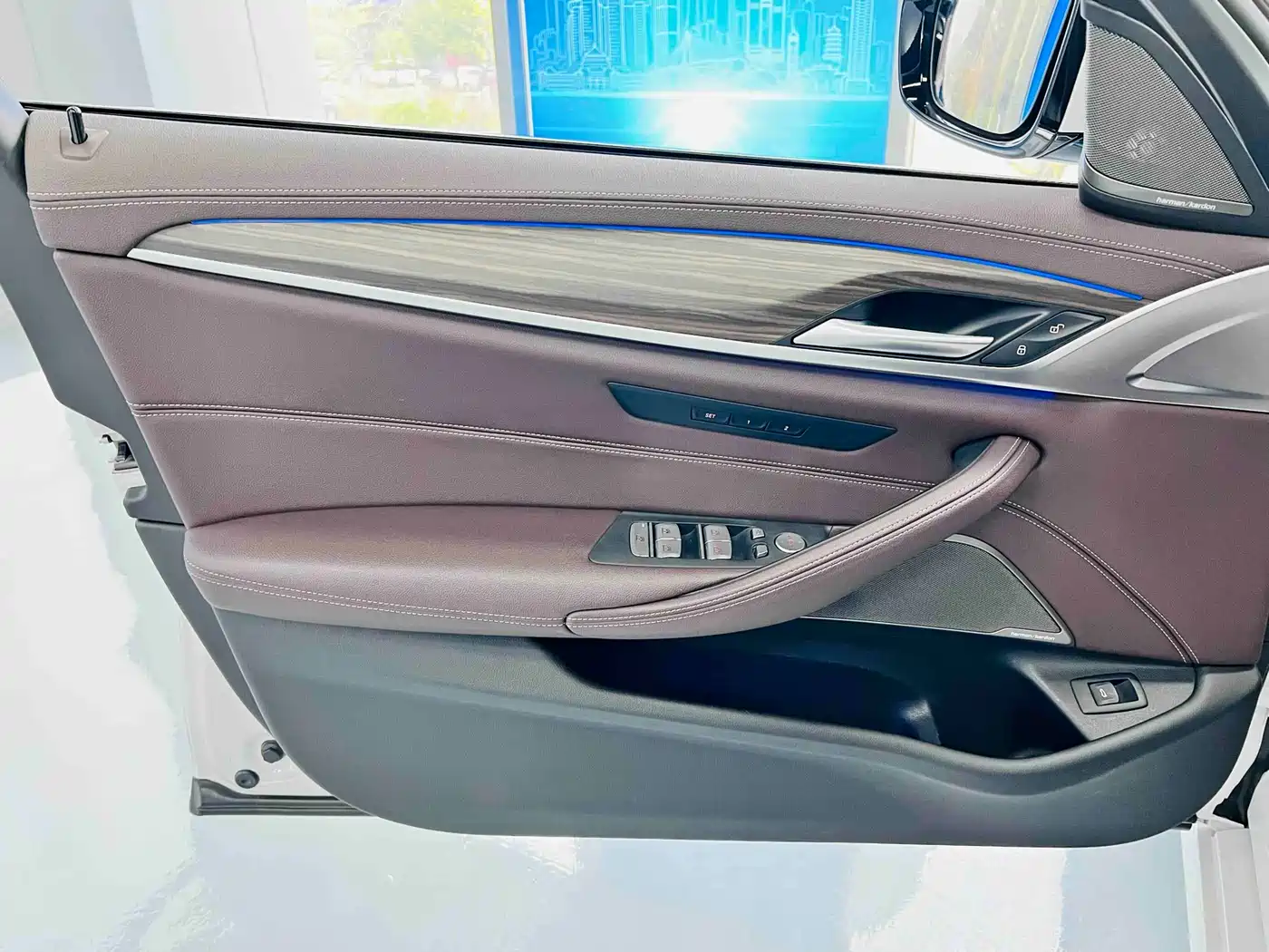 BMW 5 Series 2022 530Li Leading Luxury Package фото 11
