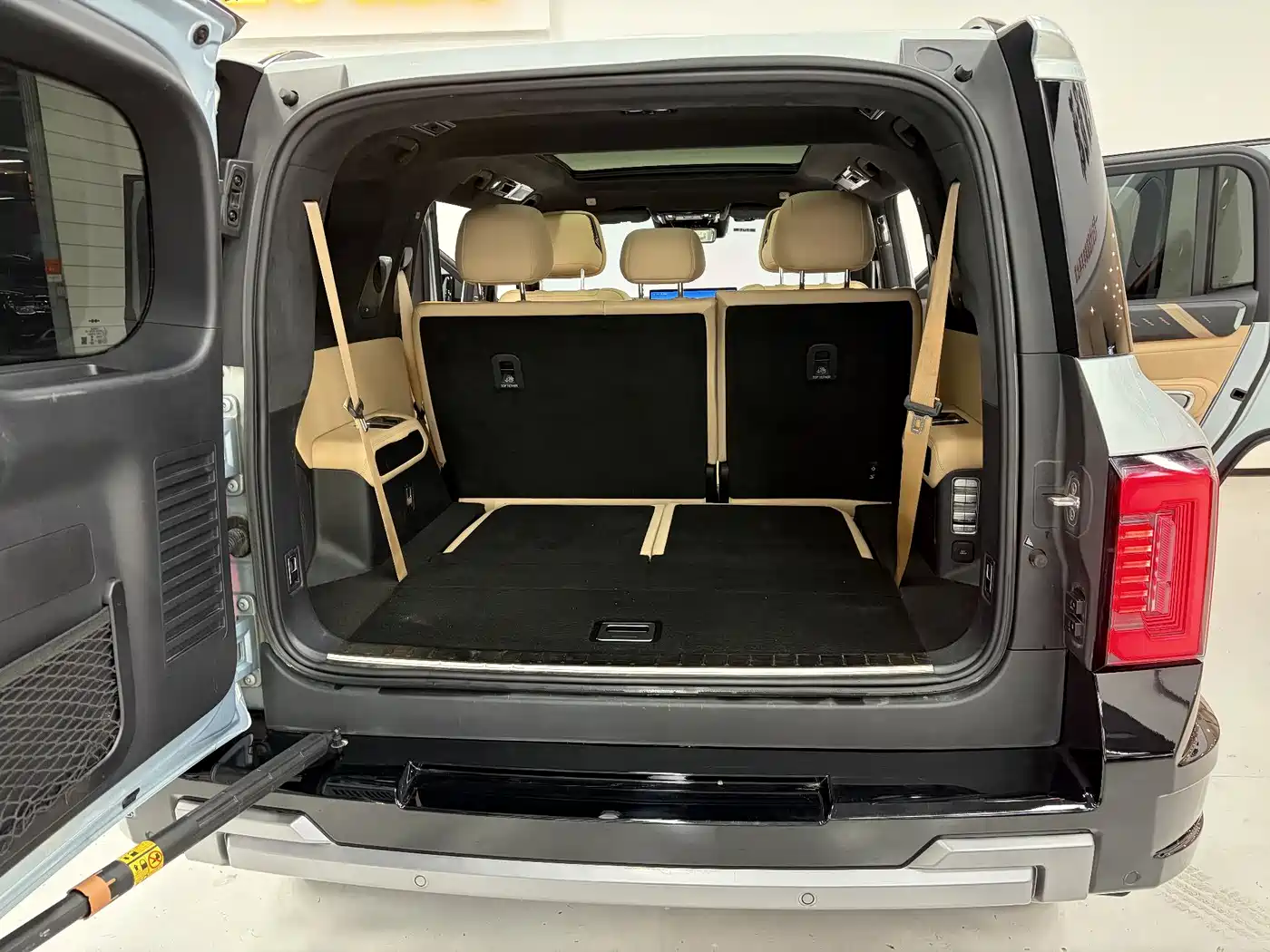 FANG CHENG BAO LEOPARD 8