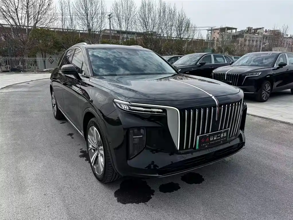 Hongqi HONGQI E HS9