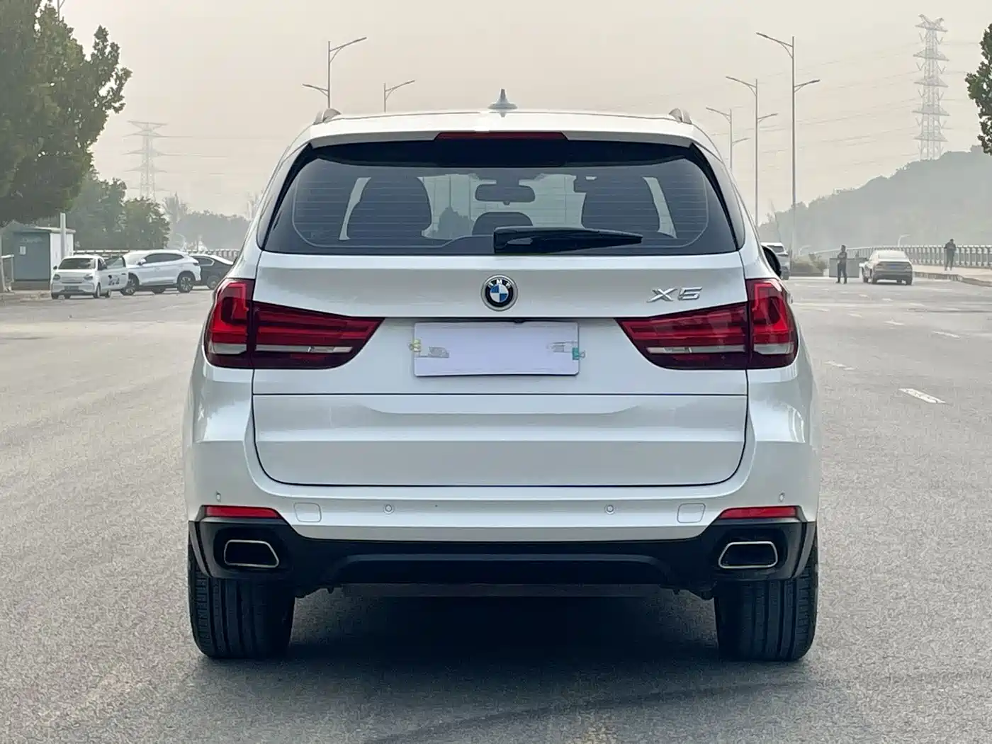 BMW X5 (Import) 2014 xDrive35i Elegance фото 16