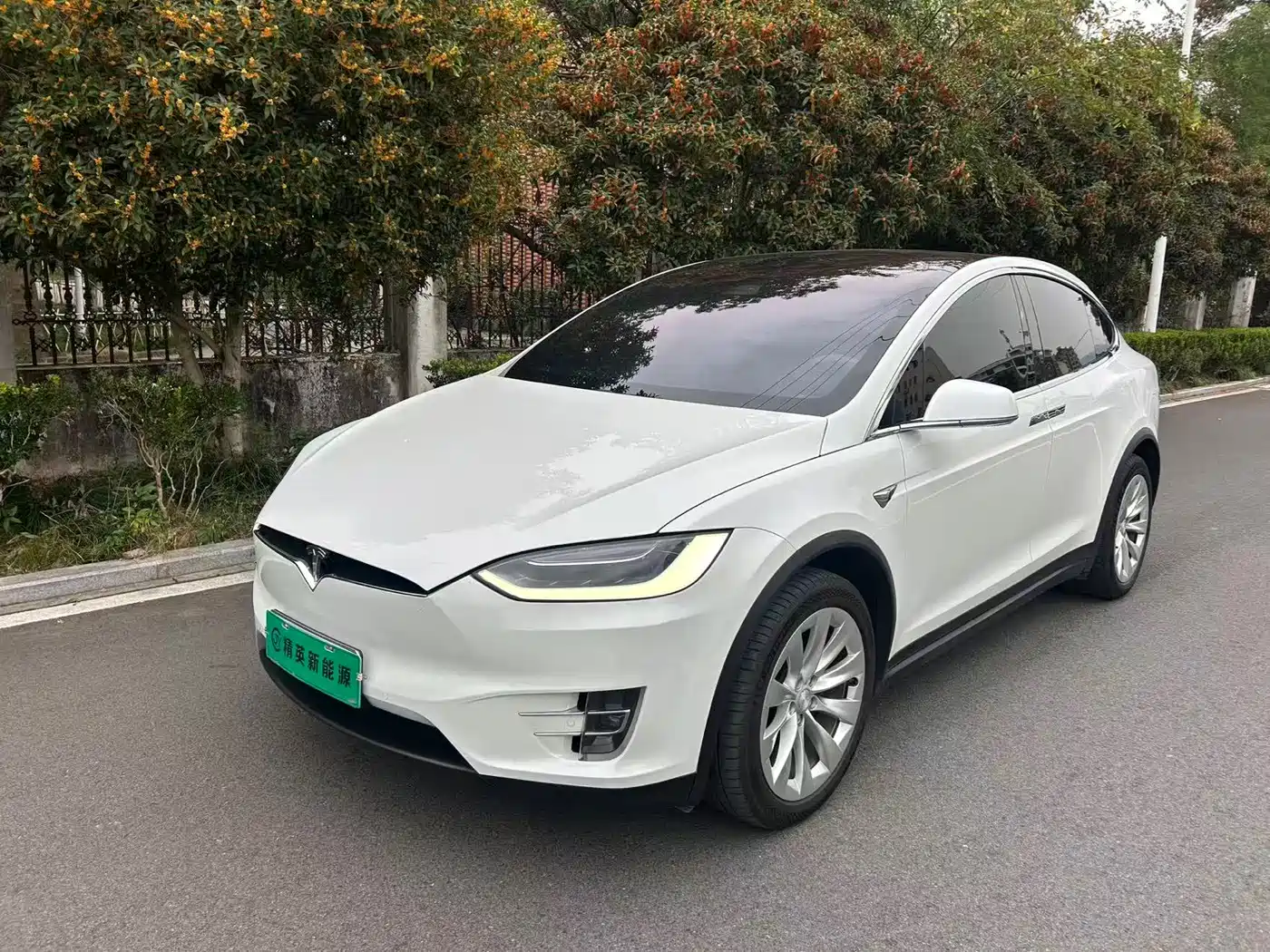 TESLA MODEL X