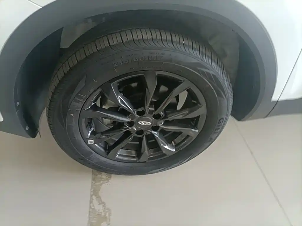 Фото 23 - Chery Tiggo 5x