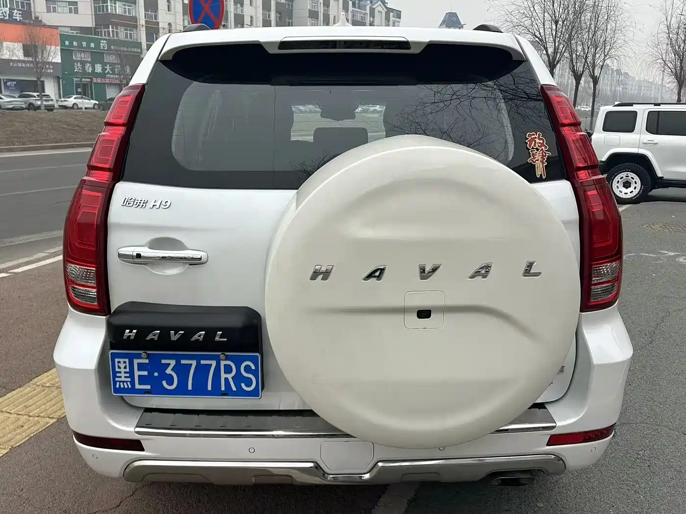 HAVAL H9