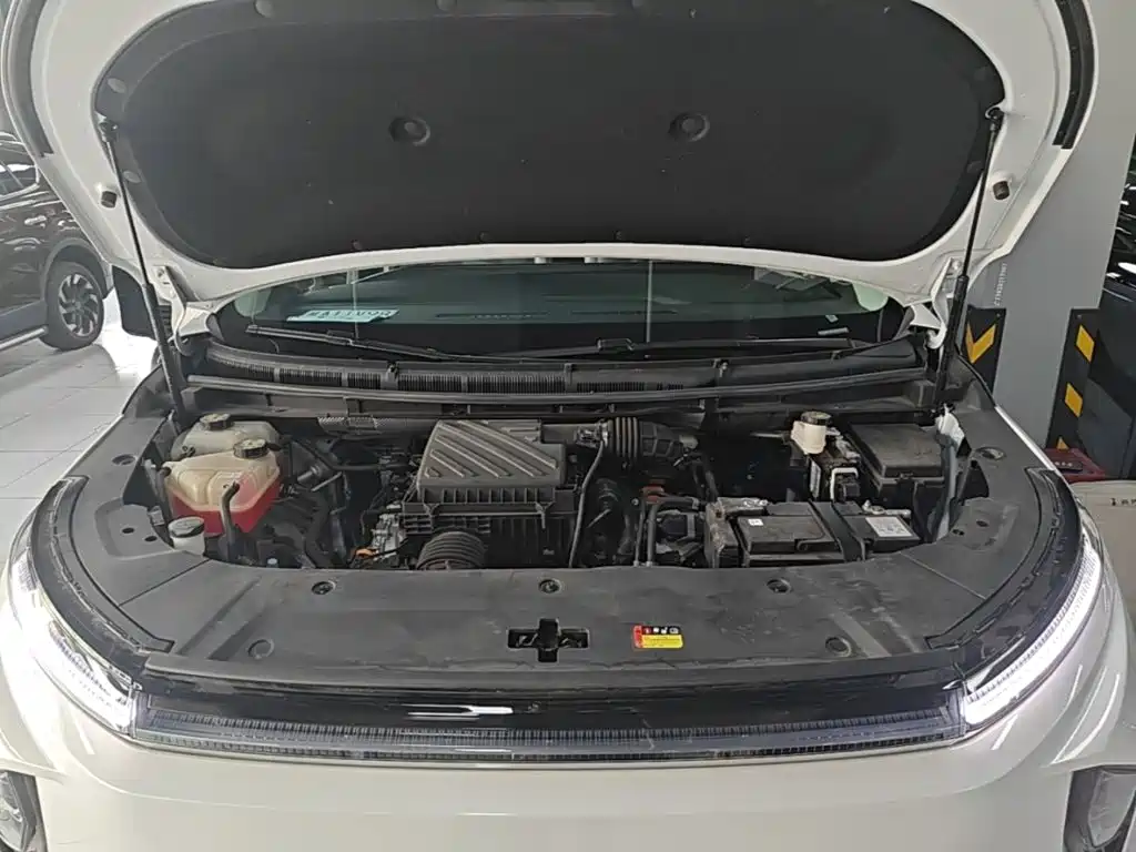 Photo 19 - Maxus MIFA 9