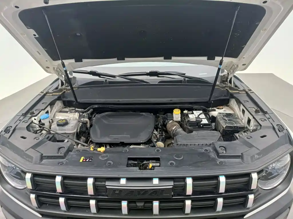 Haval Cool Dog 2023 2022 1.5T DCT 2WD Trend Edition