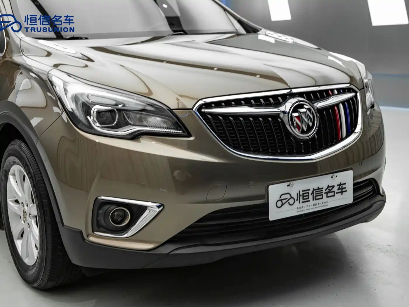 Buick Envision Plus 2019 20T 2WD Luxury Type China V фото 8
