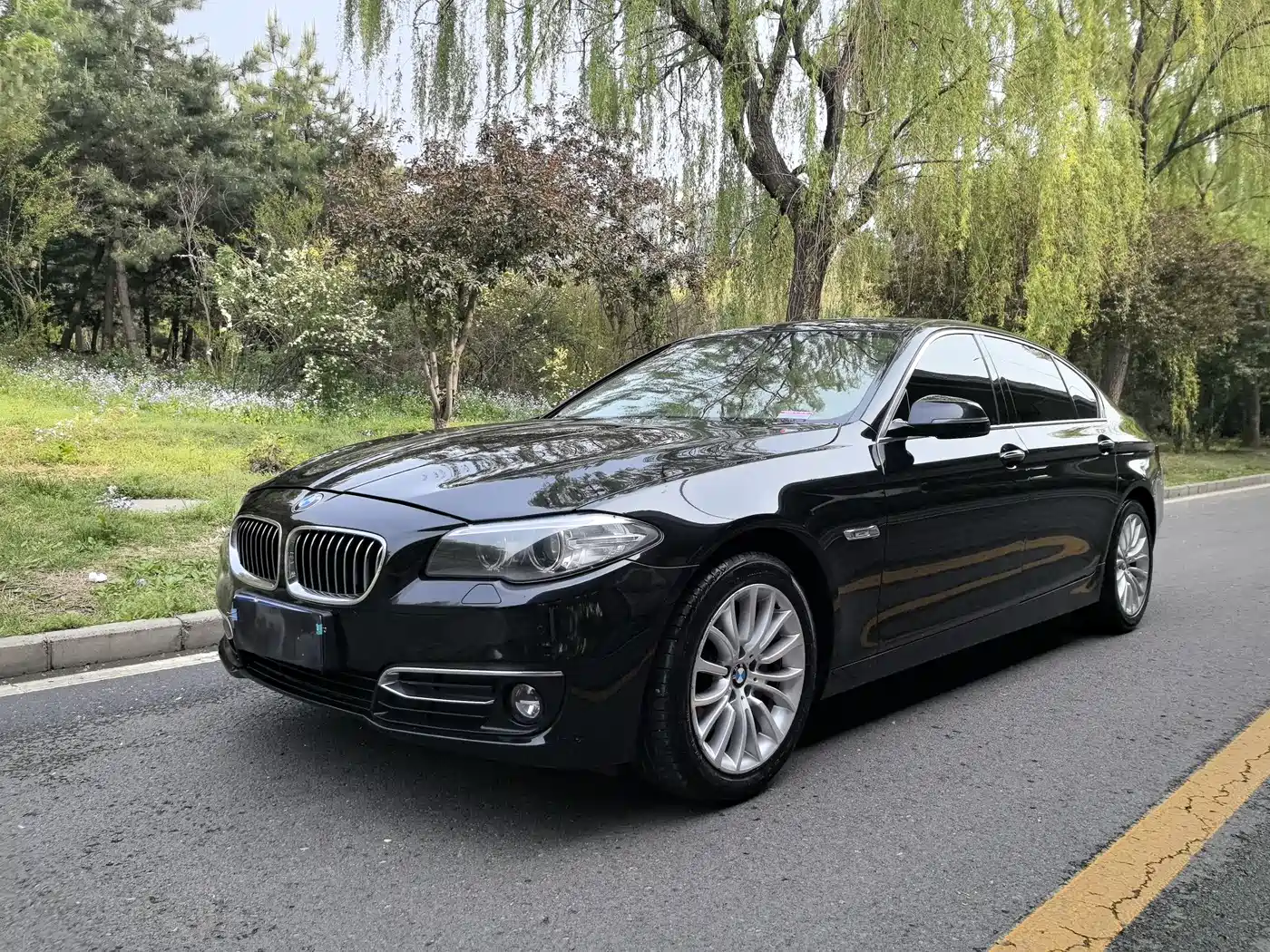 BMW 5 Series 2014 525Li Luxury Design Package