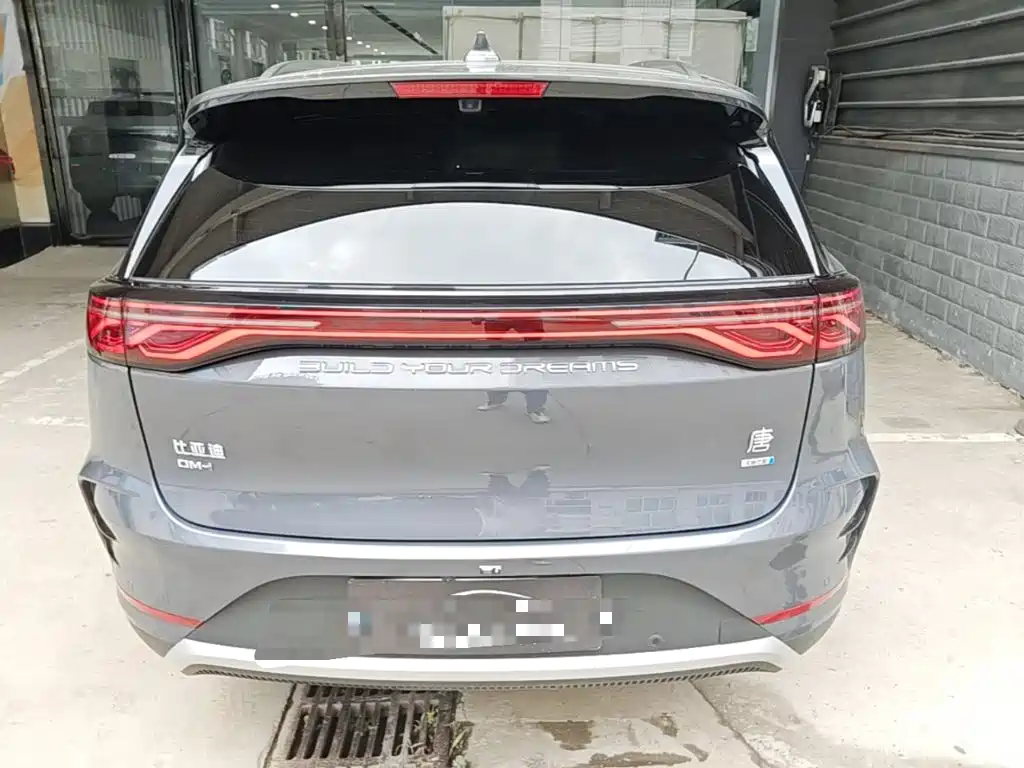 BYD Tang New Energy 2025 2025 Smart Driving Edition DM-i 115KM Premium