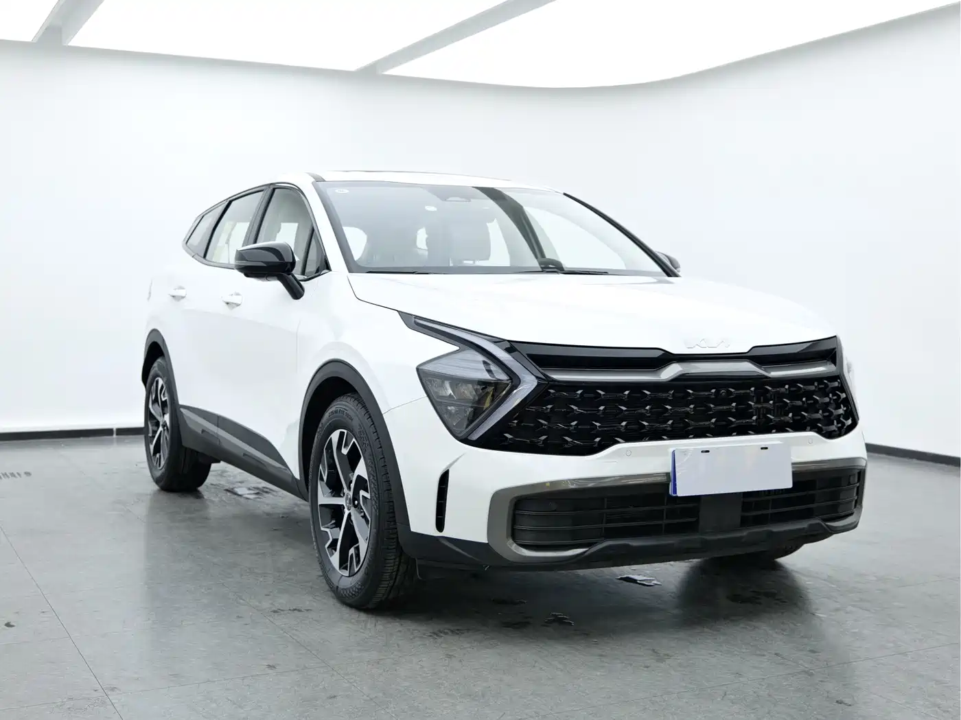 KIA LION PLATINUM EXPANDS THE WORLD