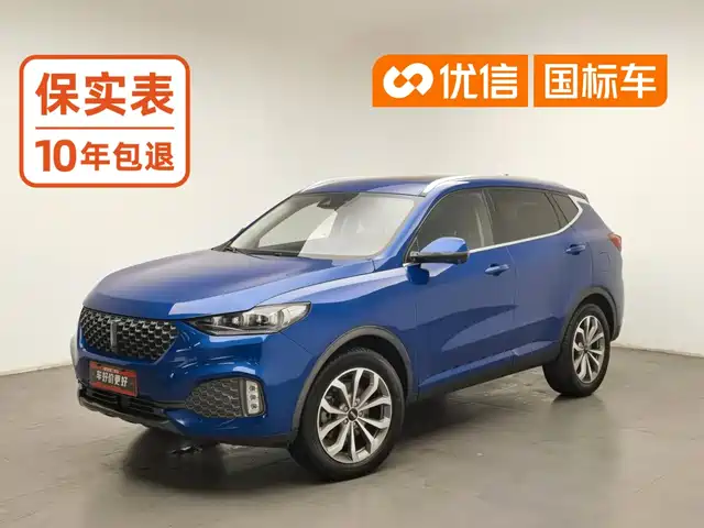 WEY VV6, 2019