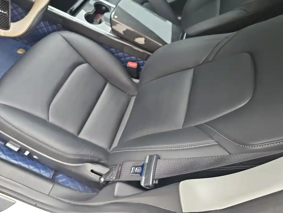 Tesla Model 3 (Import) 2019 2019 Performance High-Efficiency All-Wheel Drive Version