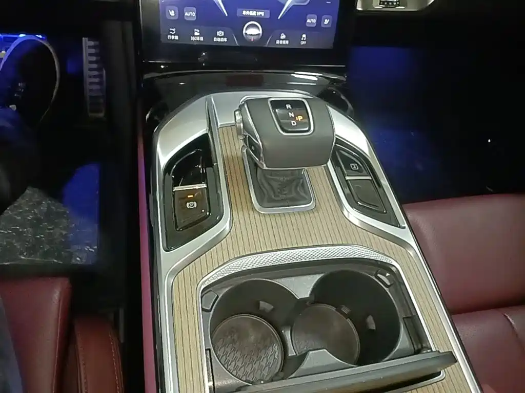 Hongqi E-HS9 2022 690km Qi Xiang Edition (6-seater) фото 14