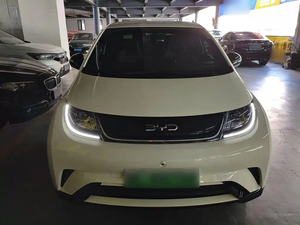 Фото 3 - BYD Dolphin