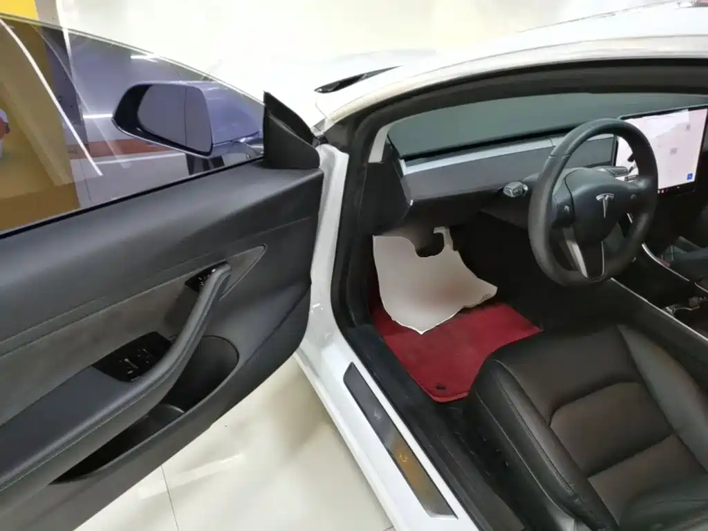 Tesla Model 3 2020 2020 Standard Range Rear-Wheel Drive Upgrade