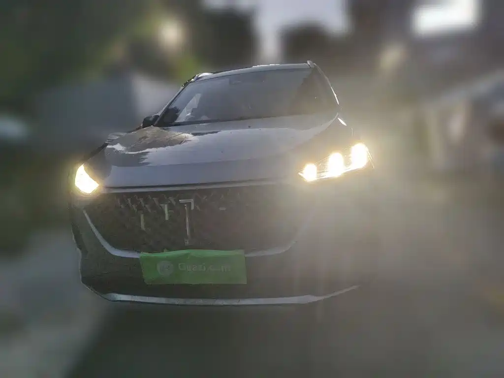 WEY Macchiato DHT-PHEV 2022 2021 1.5L Special Tuned Edition