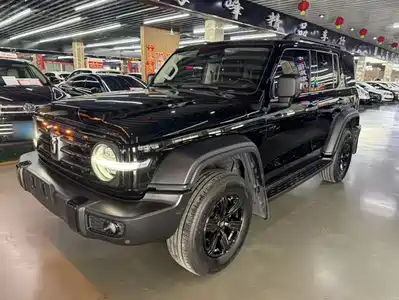 Tank 300