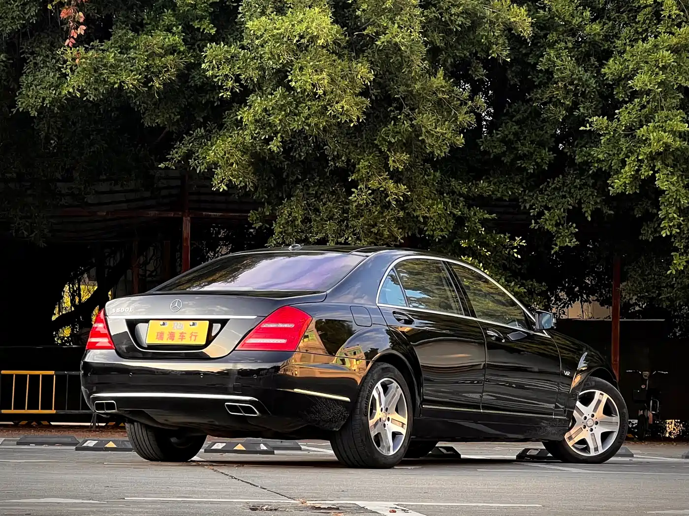 Mercedes-Benz S-Class 2010 S 600 L фото 7