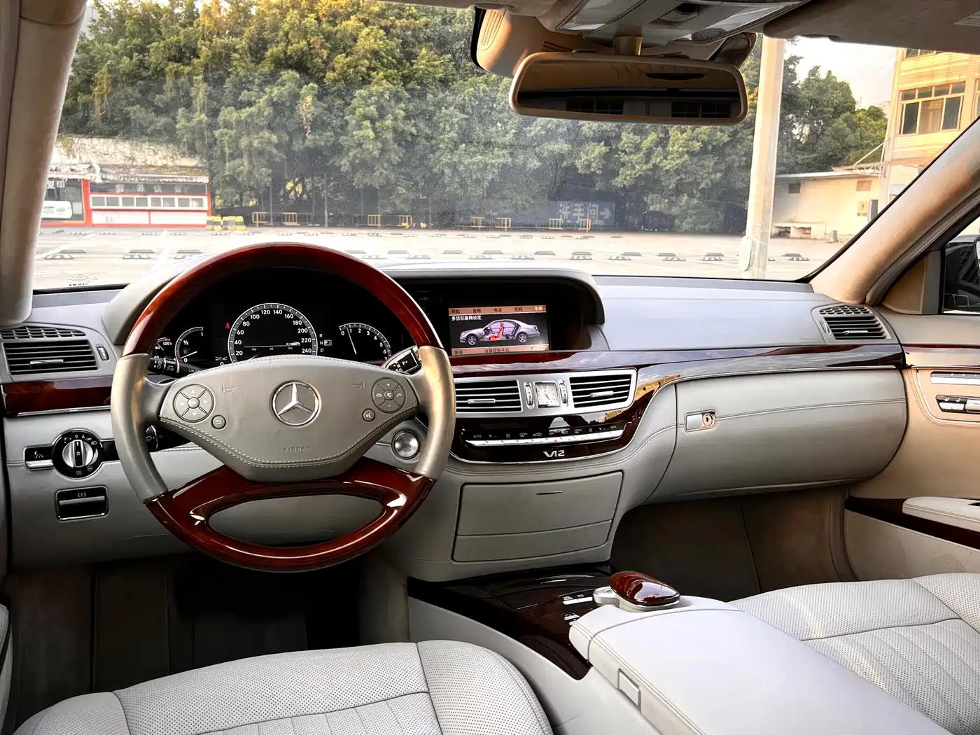 Mercedes-Benz S-Class 2010 S 600 L фото 26