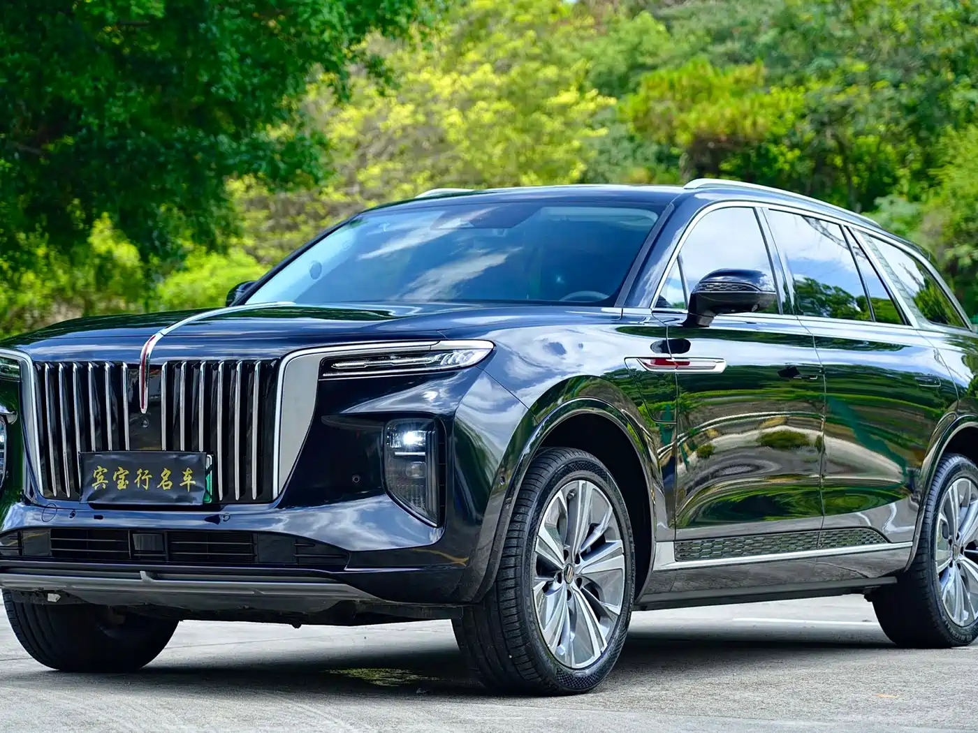 Hongqi E-HS9 2023 2022 660km Qi Chang Edition (6-seater)