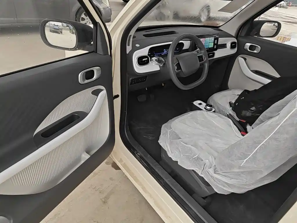 Geely Galaxy Panda 2026 2025 Panda mini 210km Vitality Bear
