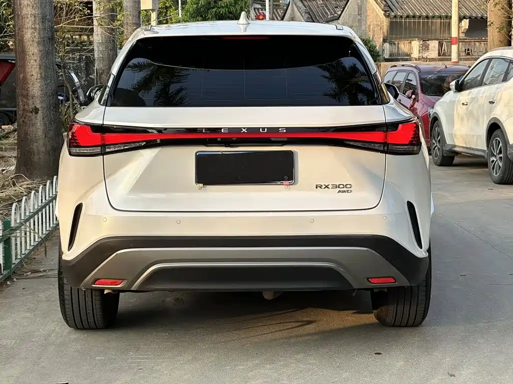 Фото 9 - Lexus RX