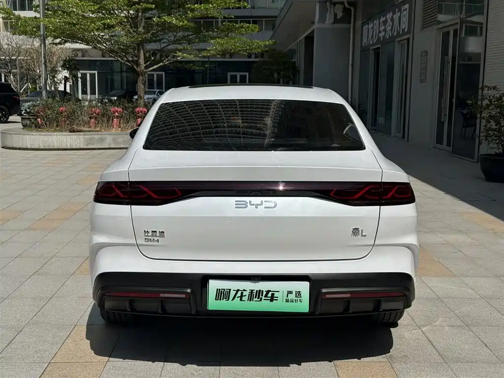 BYD QIN L