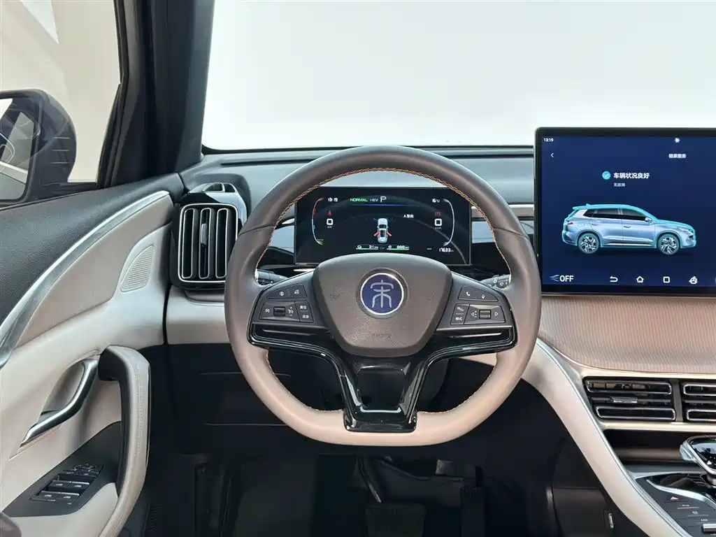 BYD SONGJIANG NEW ENERGY