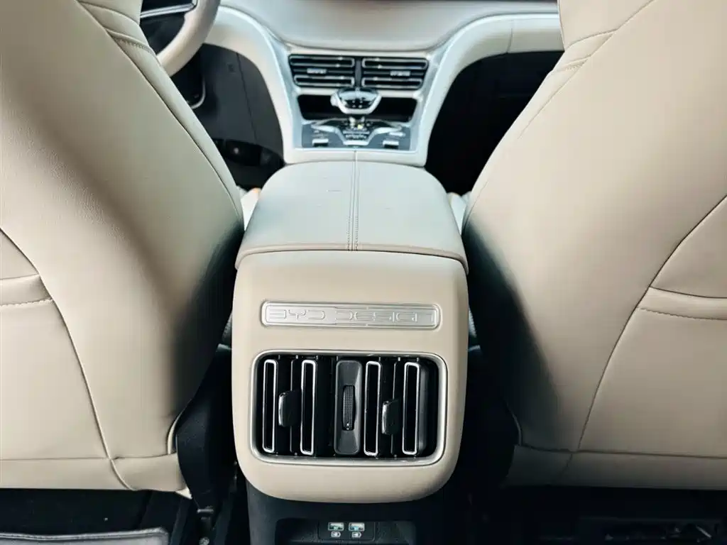 BYD SONGJIANG NEW ENERGY