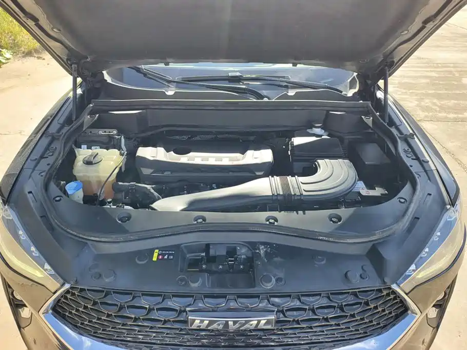 Фото 10 - Haval F7x