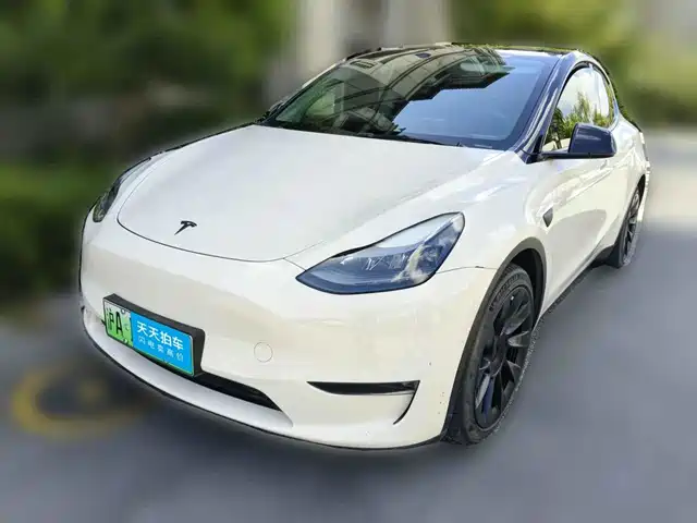 Tesla Model Y 2021 Standard Range Rear-Wheel Drive — фото 1