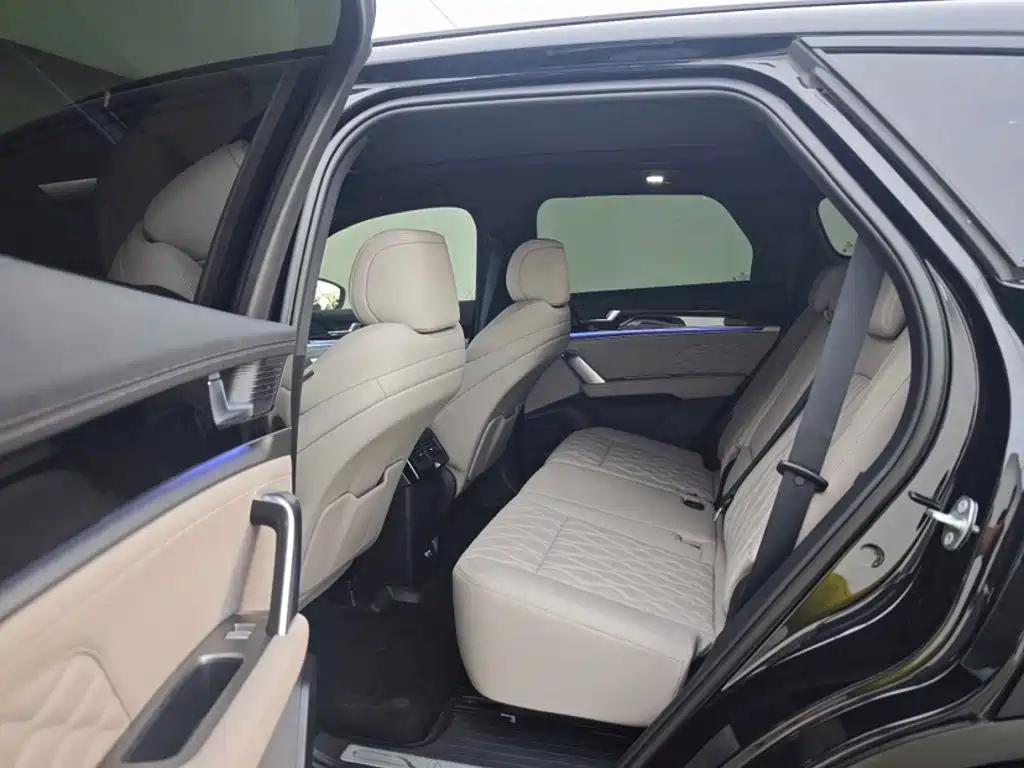 BYD Tang New Energy 2026 2026 DM-i 115KM Premium