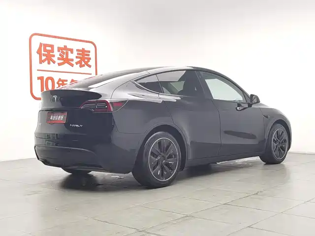 Tesla Model Y 2022 Rear-Wheel Drive Version — фото 2