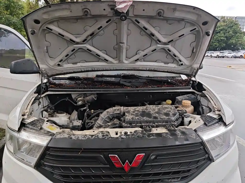 Фото 11 - Wuling Motors Wuling Hongguang V
