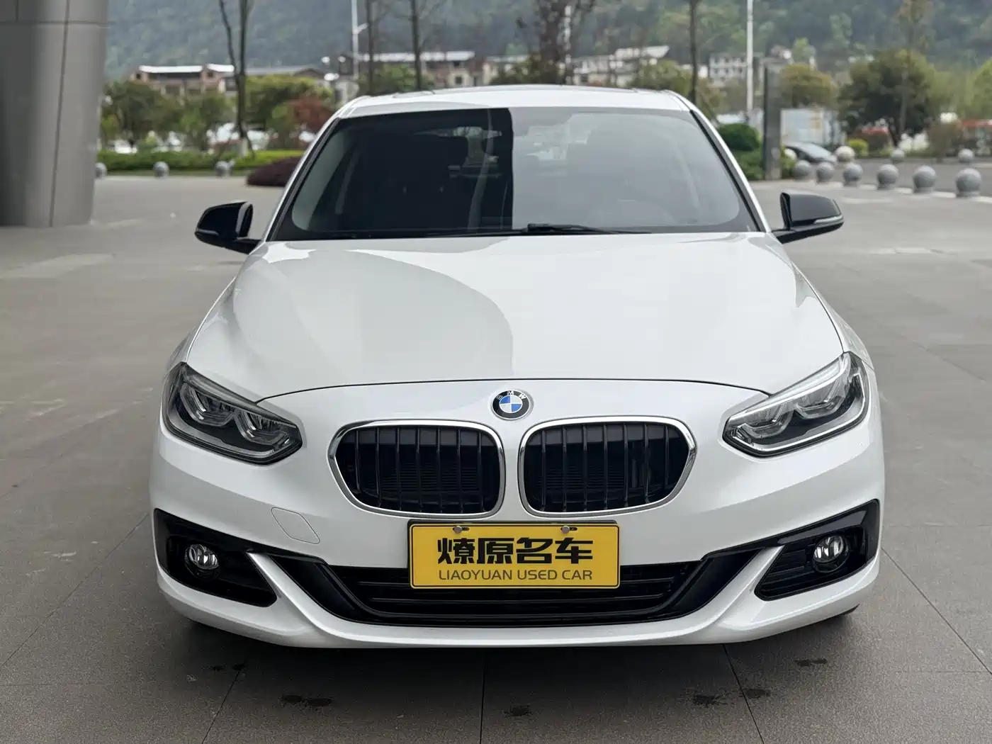 BMW 1 Series 2018 118i Sport Edition фото 2