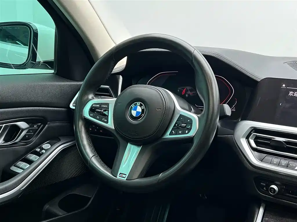 BMW 3 Series 2020 325Li M Sport Package фото 25