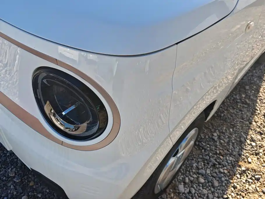 Geely Galaxy Panda 2023 2023 Panda mini 120km Cute Bear