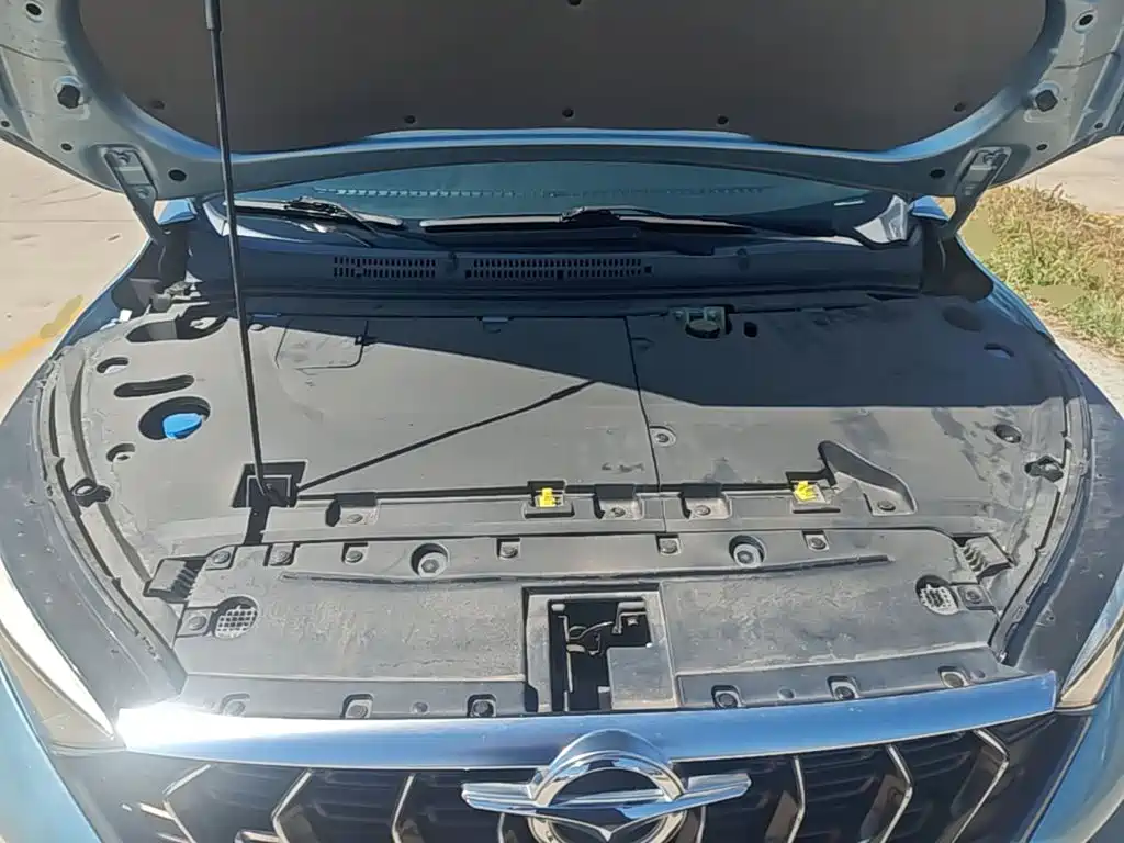 Haima 7X 2022 2020 1.6TGDI Automatic Flagship
