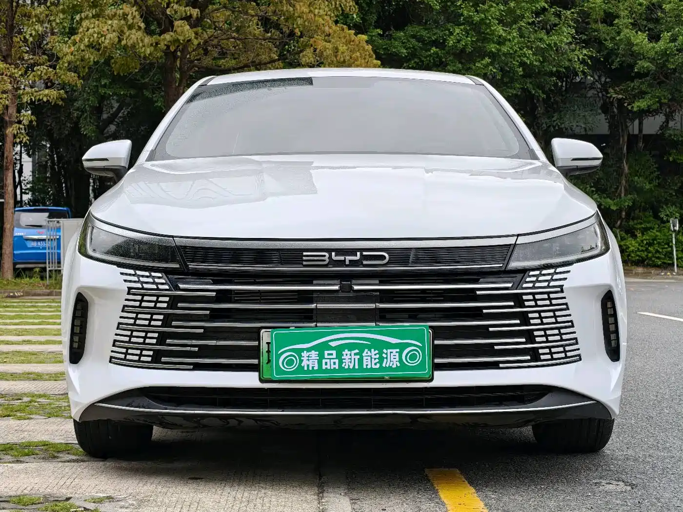 BYD Destroyer 05 2024 Glory Edition DM-i 55KM Luxury фото 2