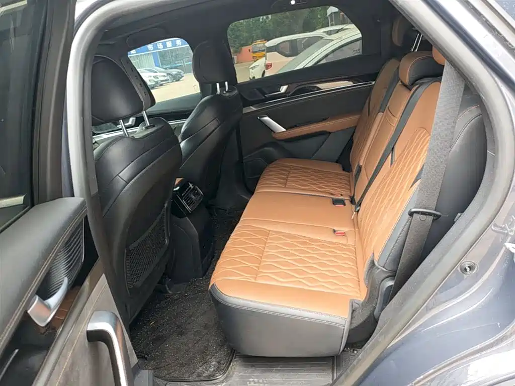 BYD Tang New Energy 2023 Model DM-i Champion Edition 112KM Deluxe фото 17